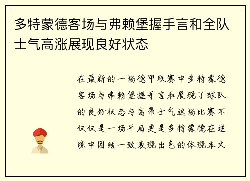 多特蒙德客场与弗赖堡握手言和全队士气高涨展现良好状态