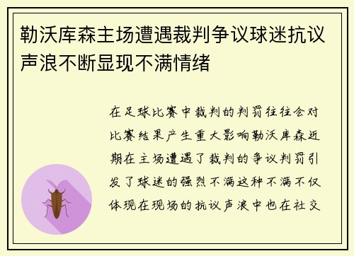 勒沃库森主场遭遇裁判争议球迷抗议声浪不断显现不满情绪