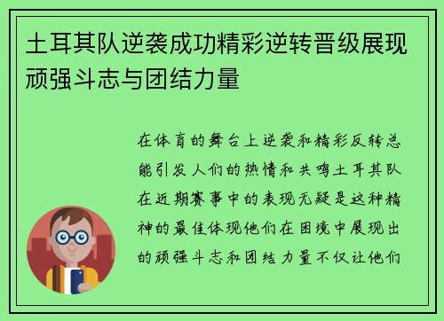 土耳其队逆袭成功精彩逆转晋级展现顽强斗志与团结力量
