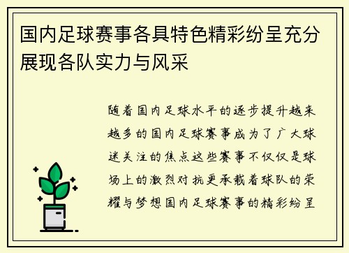 国内足球赛事各具特色精彩纷呈充分展现各队实力与风采